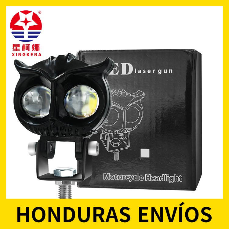 D3 búho