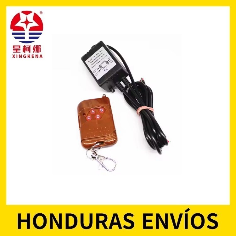 D99 Modulo flash control